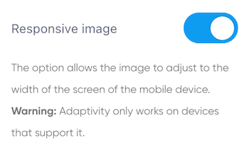Responsive video image