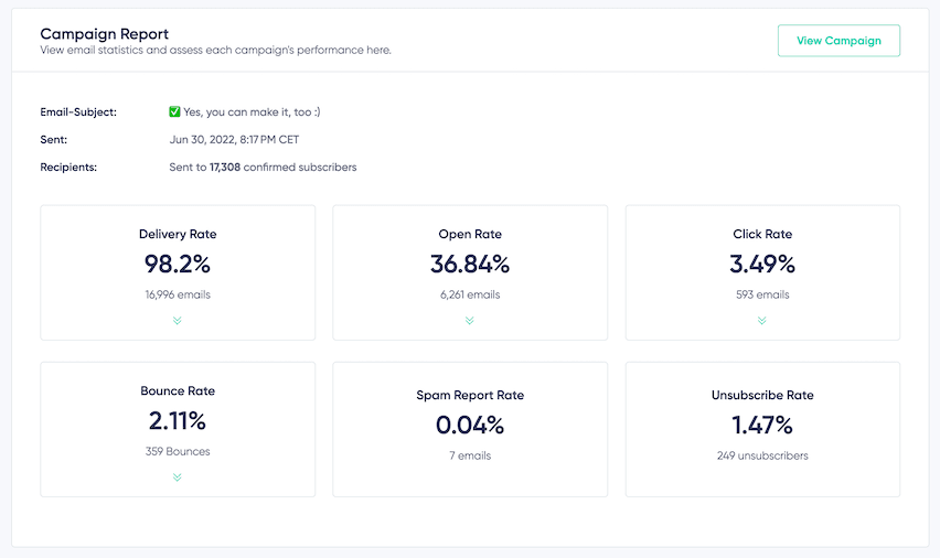 Email Marketing Campaign report showing key email KPIs: Open, Click, Bounce Rates, for strategy optimization.