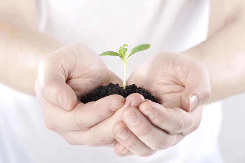 Hands cradling soil with a green sprout, symbolizing the organic growth of an email marketing list.