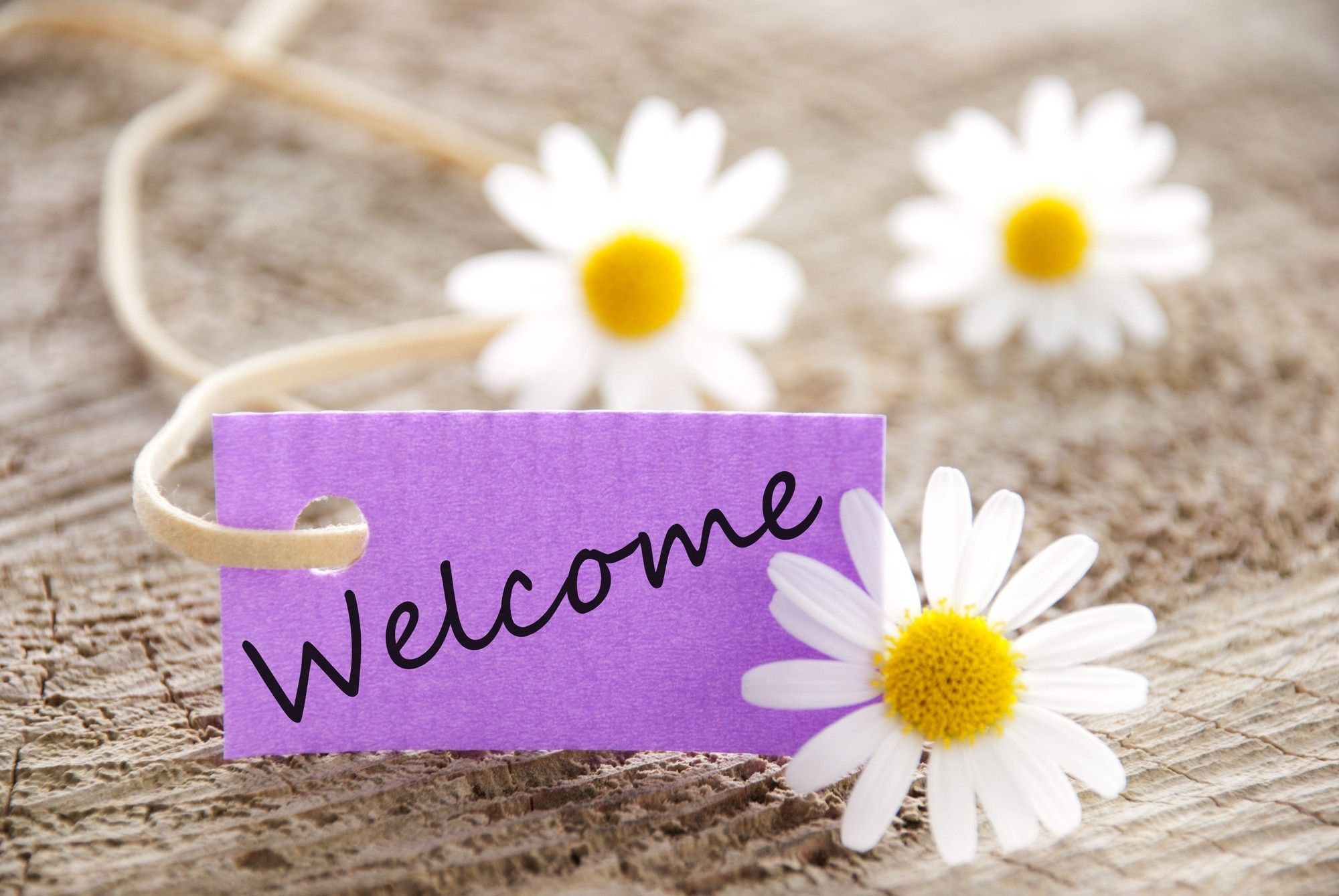 Purple welcome card with daisies, symbolizing friendly greetings sent to subscribers through email flow automation.